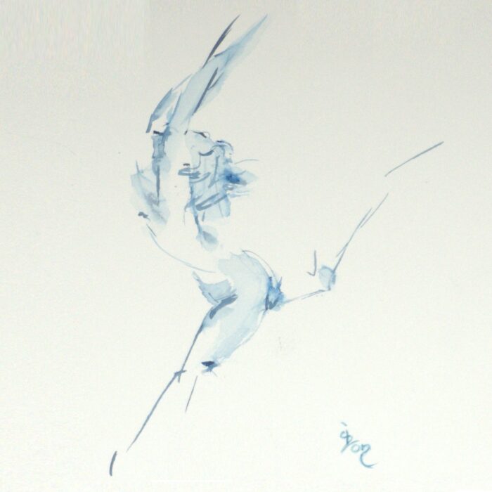 jump-hoog-landen - Afbeelding 3