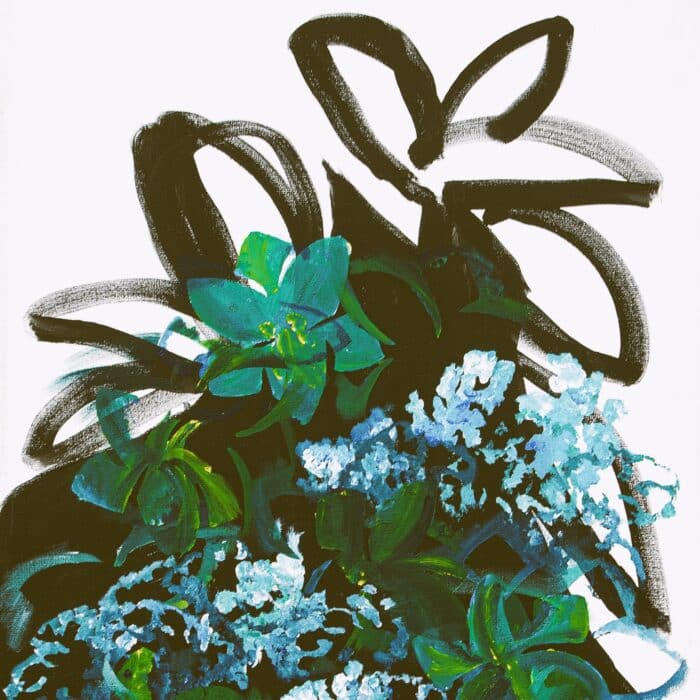 Hortensia moderne