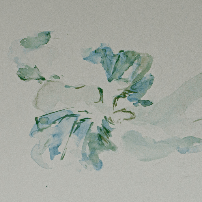 Aquarel<br>Uitrusten